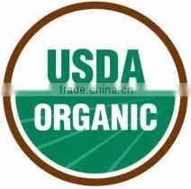 Organic Ginger Capsules - 600mg