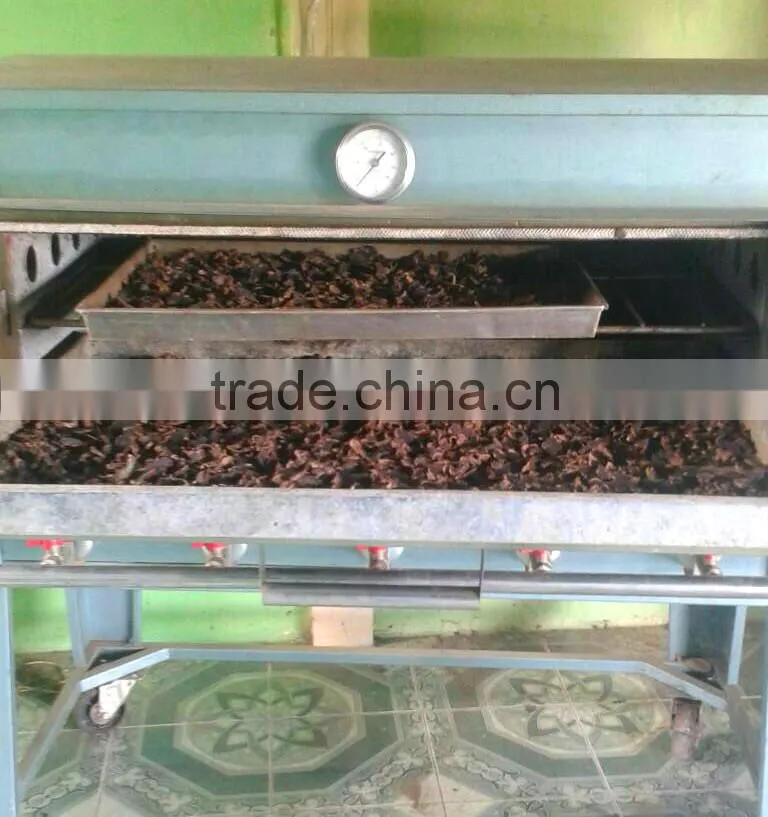 Dried Thai herbal Kaempferia Parviflora Black Ginger Root