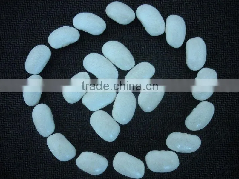 Medium White Kidney Beans