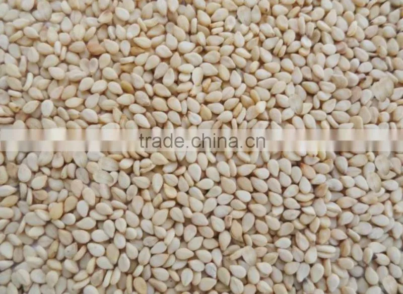sesame seed cleaning machines