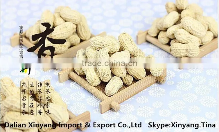 salted peanut/peanut blanched/peanut salted