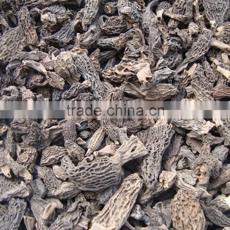 2015 Hot Sale 100% Real Wild Dried Morel with Cheap Prices