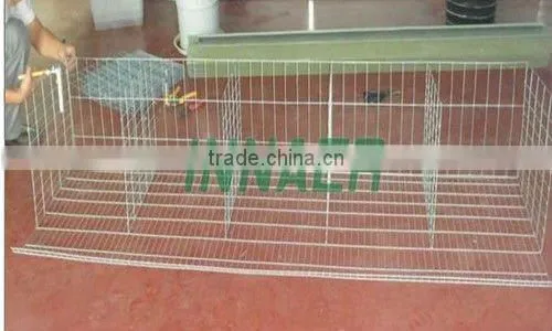 Supply Hot Sale Cheap Innaer Cock Cage for Broiler