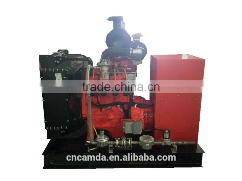 small biogas generator 30KW for sale/ waste to energy power plant