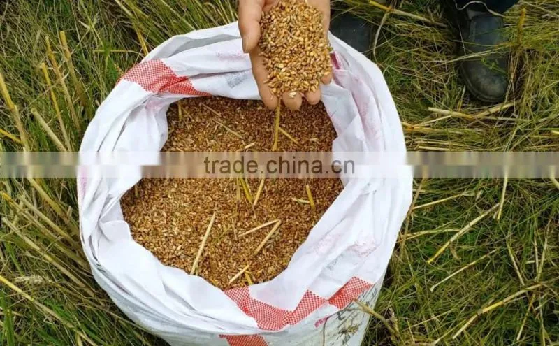 Crawler type small grain harvester