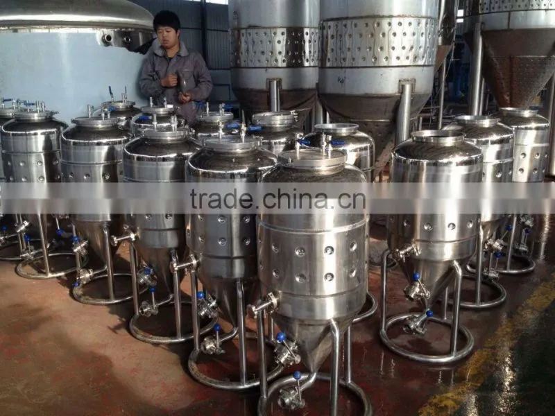 100l fermenter
