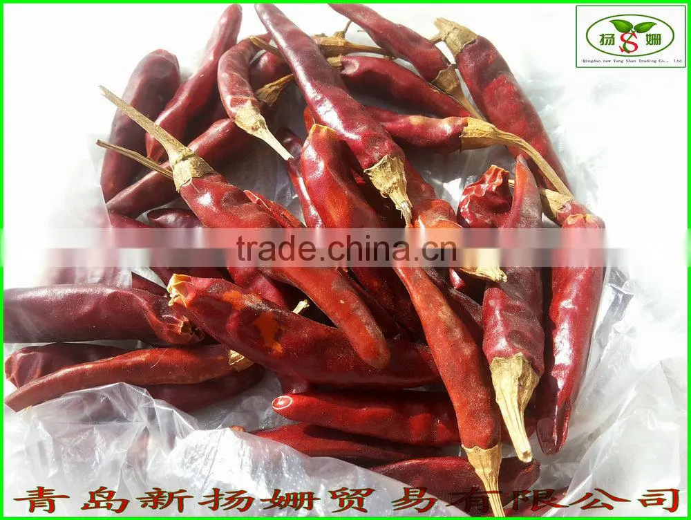 (HOT)small hot chili/hot chilli pepper/chaotian chilli