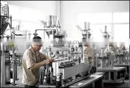 Rotary Automatic Zipper Bag Fill Seal Packing Machine For seeds nuts
