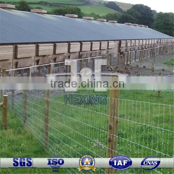 Hot-dipped Galvanized Grassland Fence