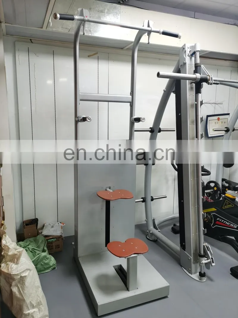 vertical knee raise /arm exercise fitness equipment
