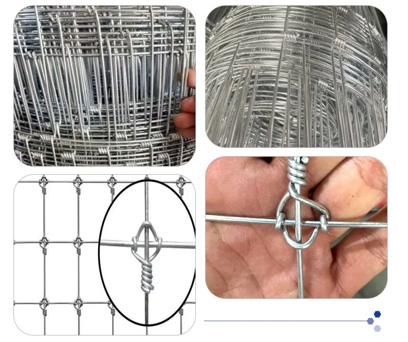 Hot-dip Galvanized Wire Mesh Anti-rust Fence Net Wholesale Breeding Net Cattle Fence Net Orchard protection Net Steel Wire Mesh