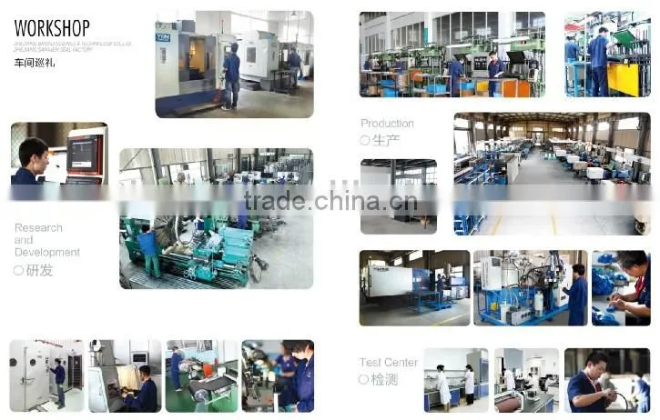 Hydraulic Seal