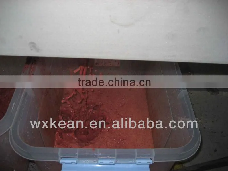 Fruit and vegetable pulping Machine