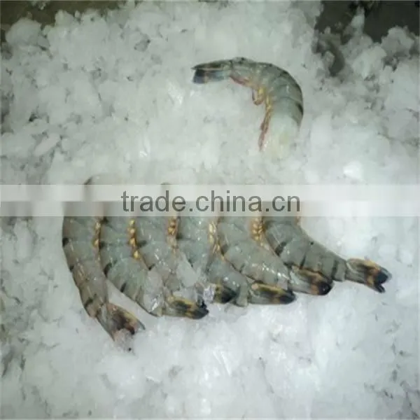 frozen shrimp on the grill