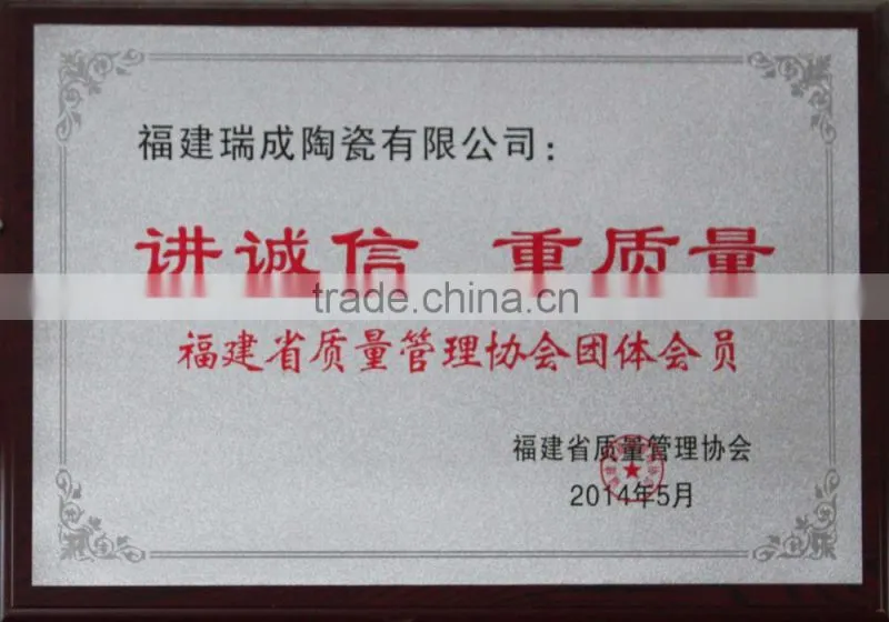 73x73mm construction material as external wall tile