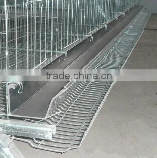 galvanized quail cage with automatic system