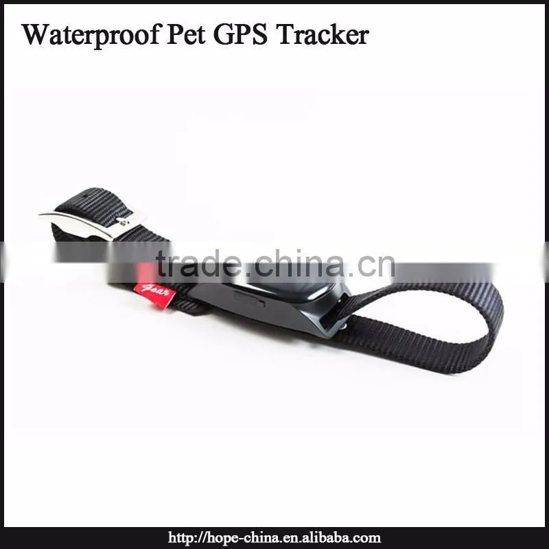 Most popular animal gps tracking device,gps dog collar,cat collar gps tracker