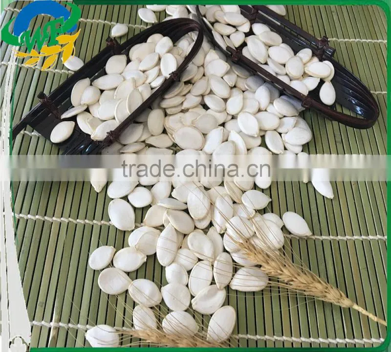 snow white pumpkin seed in shell