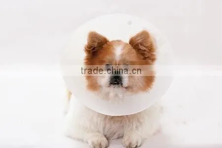 plastic dog protection cover