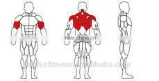 Plate Loaed/Fitness Equipment /Gym/ ROW