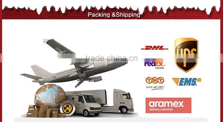 New product special design outdoor christmas led string light from China