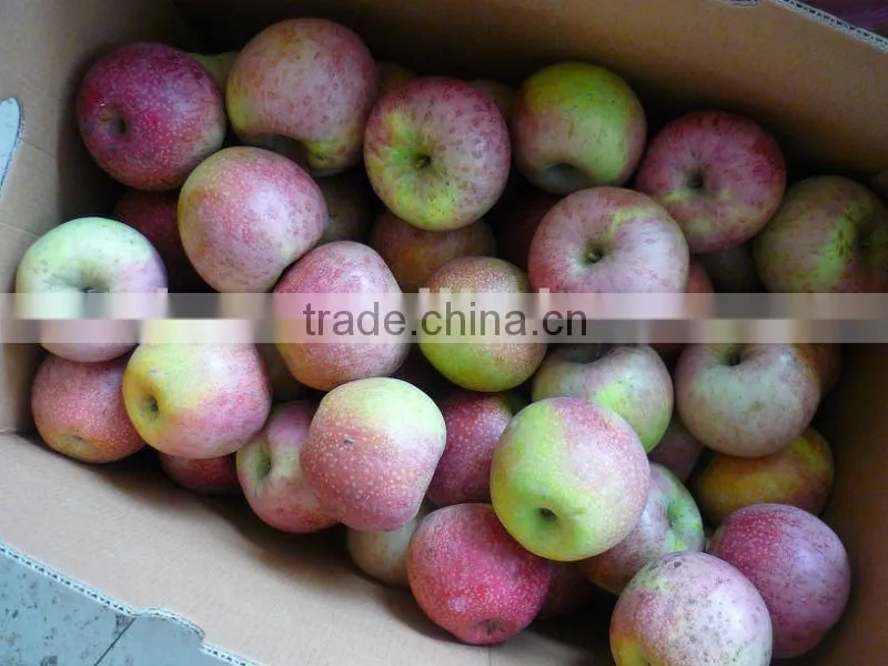 qinguan apple