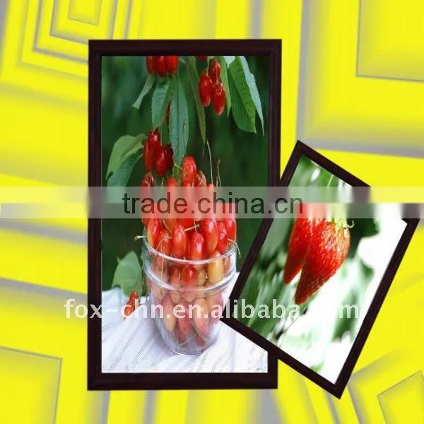 Large size frame