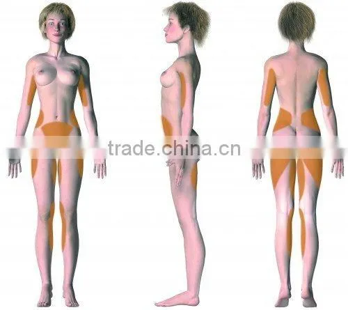 Hot Vacuum Body Slimming and Shaping Machine