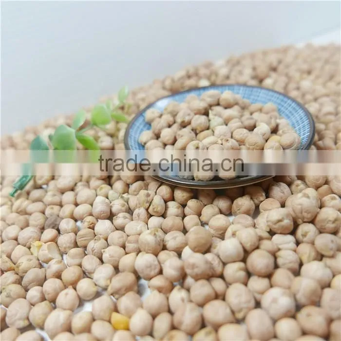 Good manufacture of chickpea hot sale