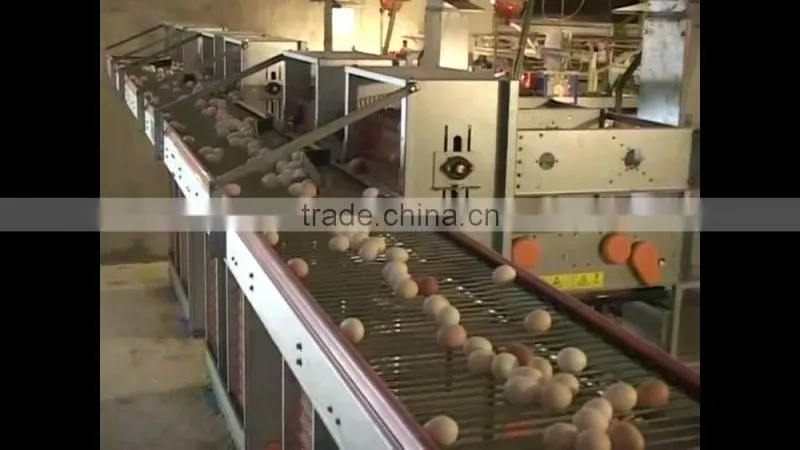FRESH BROWN CHICKEN EGGS