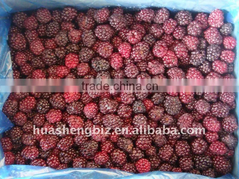 IQF blackberry