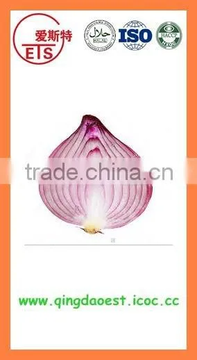 Export Fresh new crop red yellow onion