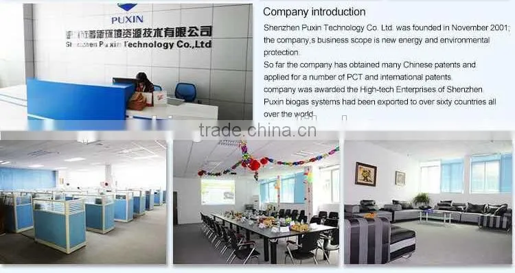 PUXIN concrete biogas plant system for farm with 500 pigs