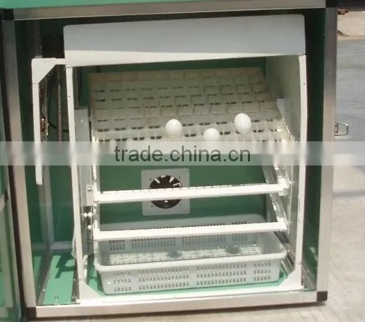 Electronic Snake Herp Nursery egg incubator