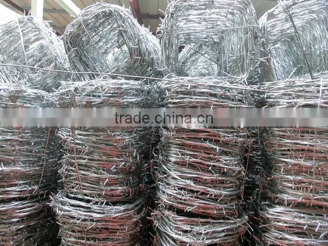 galvanized barbed wire