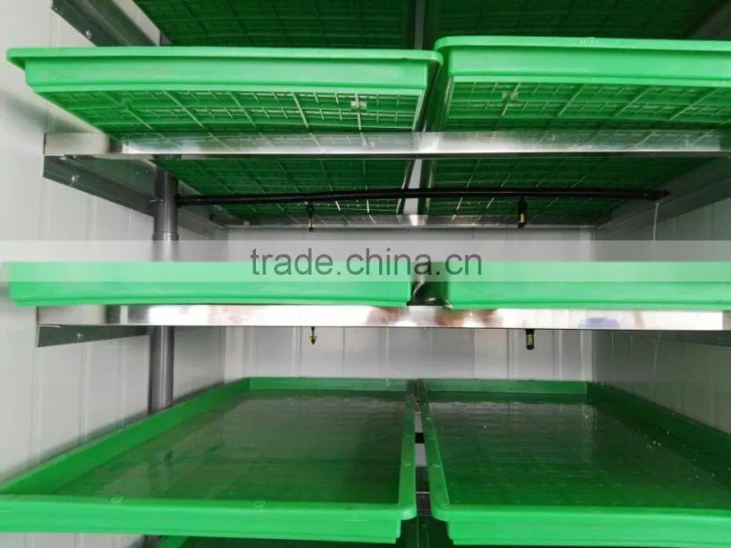 new type automatic barley sprout machine