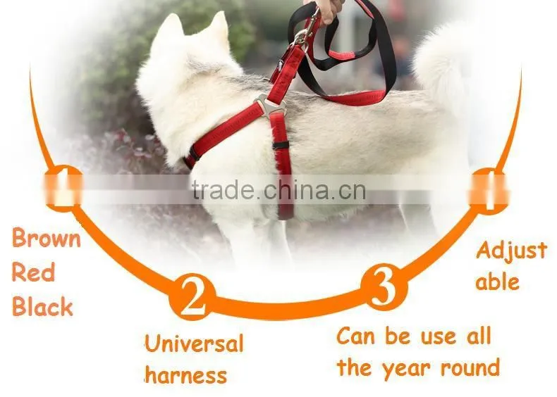 Durable wholesale pet dog leash and harness