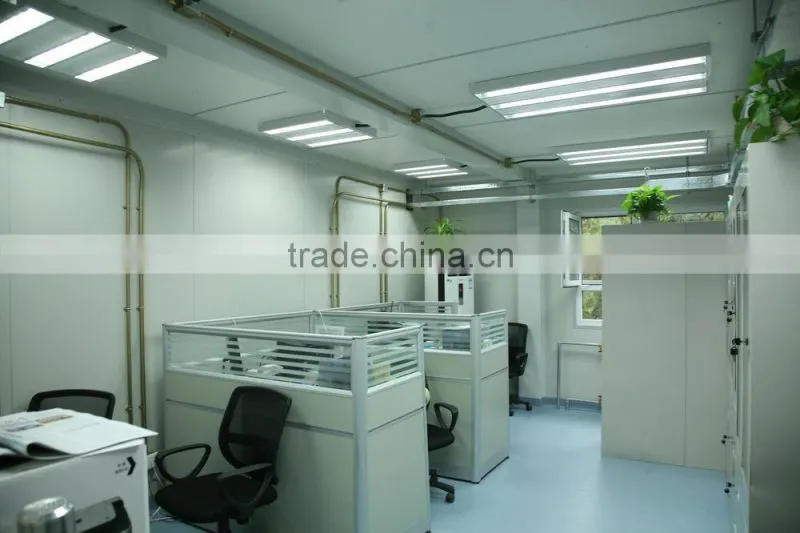 two storey Luxury container office building