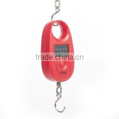 Electronic 5g/25Kg Digital Hanging Fishing Hook Luggage Weight Pocket Scale