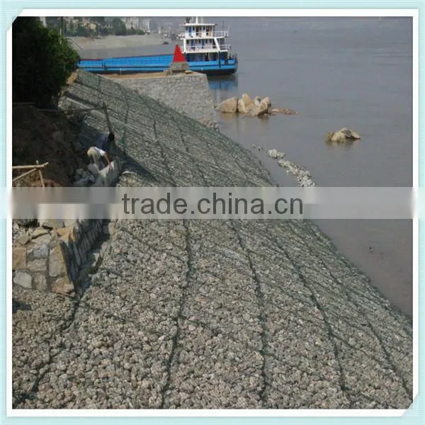 Professional technique gabion wire mesh/Hexagonal wire netting