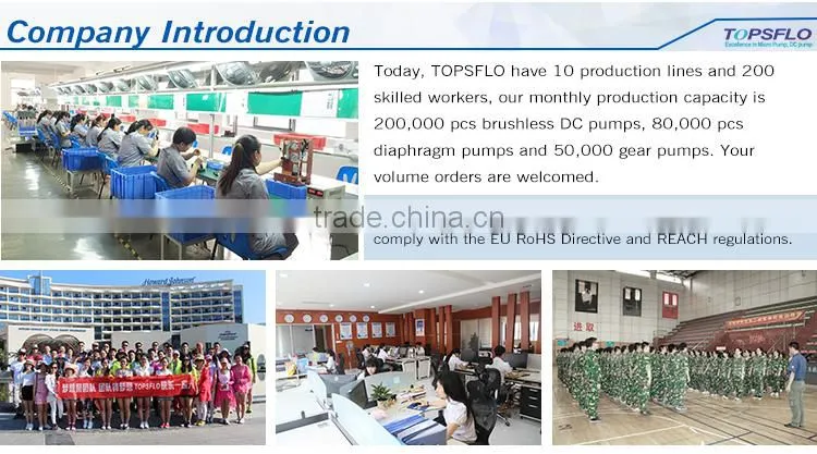 Circulation DC brushless 12v 24v cooling capacity chiller pump