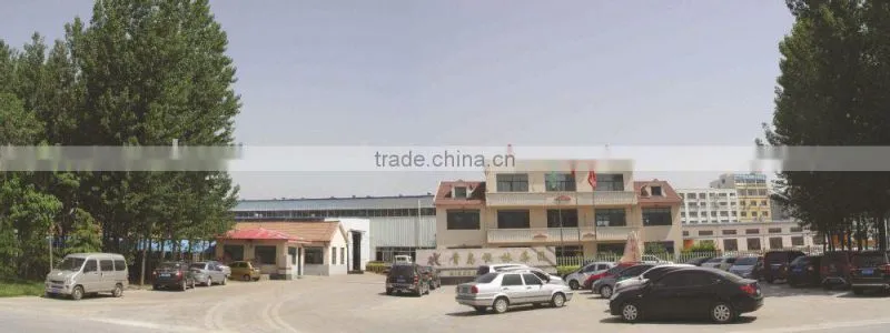 Resin sand molding line by Qingdao Henglin Machinery