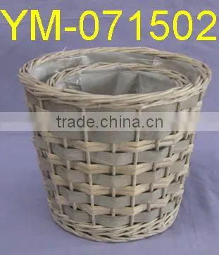 Cheap Garden Plant and Pot