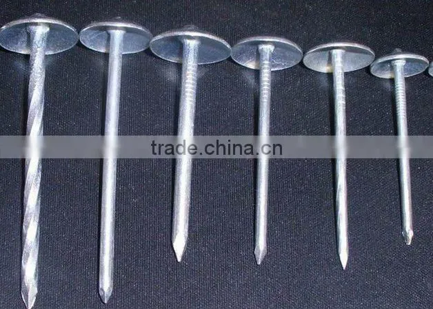 umbrella roofing nails for south africa