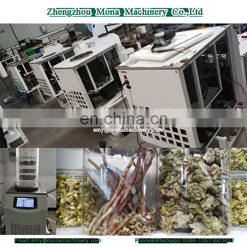 Small Freeze drying machine /Vacuum freeze dryer