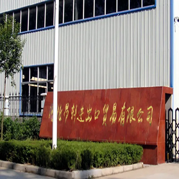 Hebei Angxuan Import And Export Trade Co,Ltd company overview - view 1