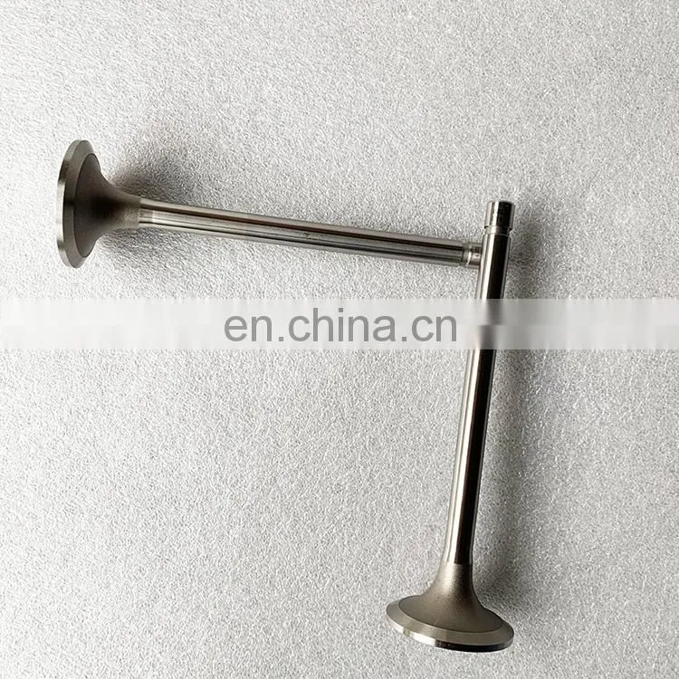 Chongqing Original K19 Diesel Engine Spare Parts Exhaust Intake Valve 3052820