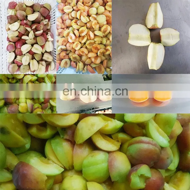 Competitive price and high quality Quinces Corer On Sale