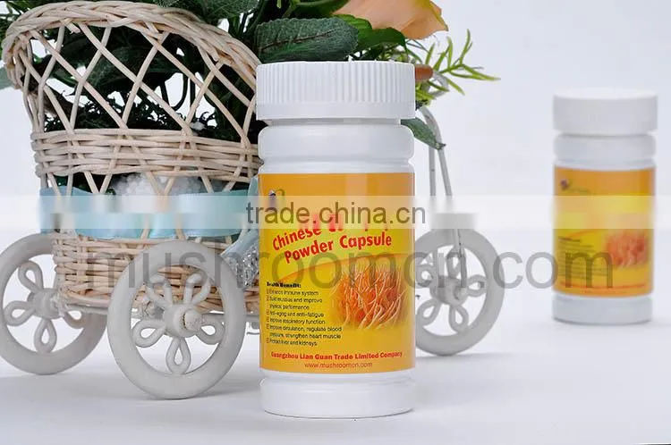 100% Pure Quality Cordyceps Sinensis Capsule