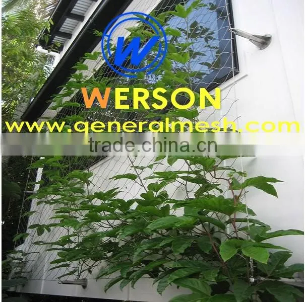 stainless steel webnet trellis for balustrade, Green Walls | generalmesh